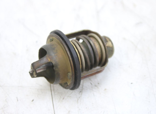 THERMOSTAT