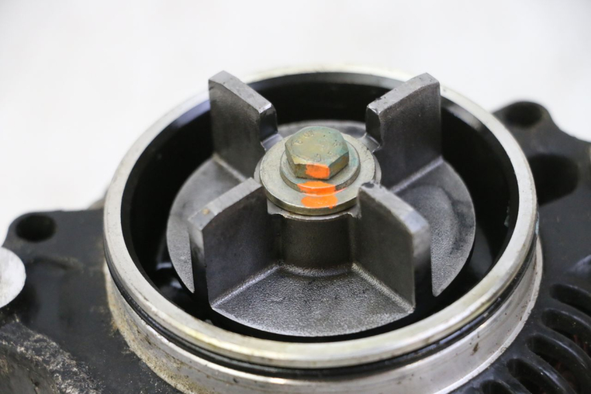 photo de LICHTMASCHINE TRIUMPH SPRINT 900 (1995 - 1998)