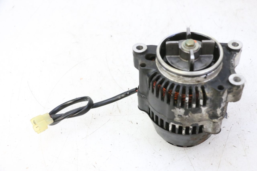 photo de LICHTMASCHINE TRIUMPH SPRINT 900 (1995 - 1998)