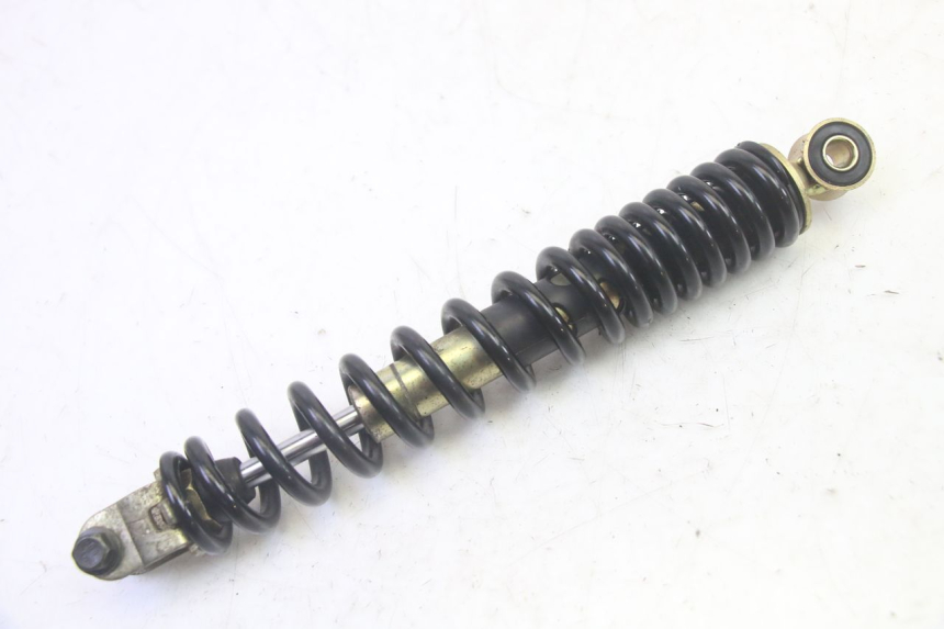 photo de HINTERE FEDERUNG LONGJIA DIGITA 4T 50 (2019 - 2022) - Hauptansicht