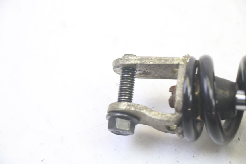 photo de HINTERE FEDERUNG LONGJIA DIGITA 4T 50 (2019 - 2022) - Detailansicht des Bauteils