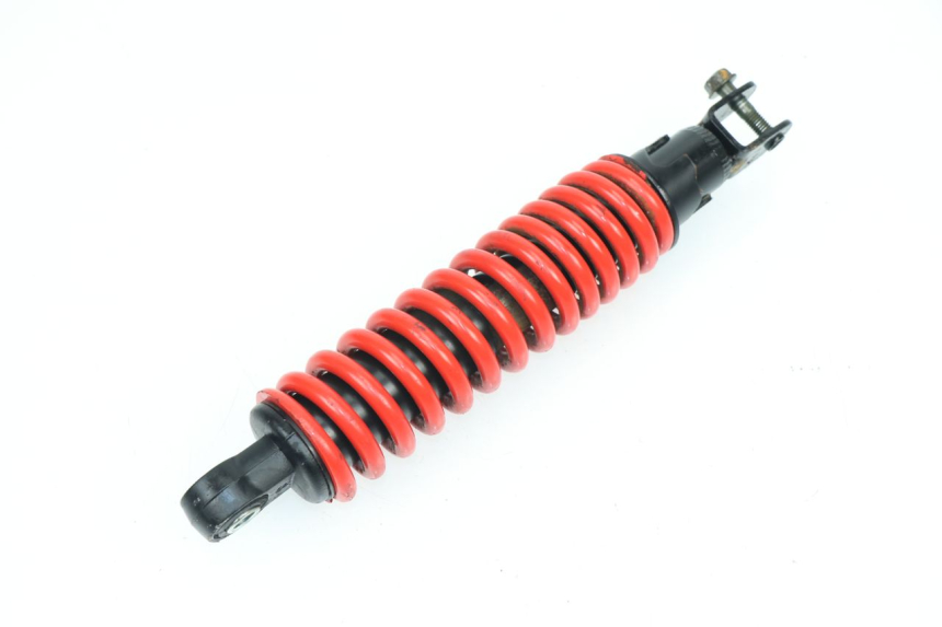photo de FEDERBEIN PGO LIGERO 50 (2006 - 2010)