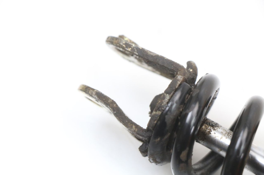 photo de HINTERE FEDERUNG TNT MOTOR ROMA 10' 4T 50 (2019 - 2022)