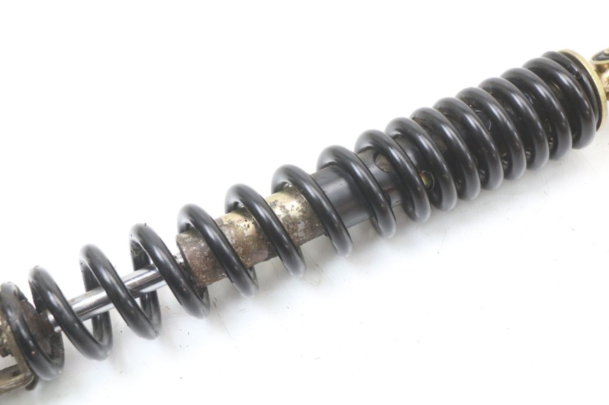 photo de HINTERE FEDERUNG TNT MOTOR ROMA 10' 4T 50 (2019 - 2022)