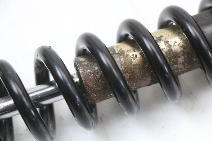 photo de HINTERE FEDERUNG TNT MOTOR ROMA 10' 4T 50 (2019 - 2022)