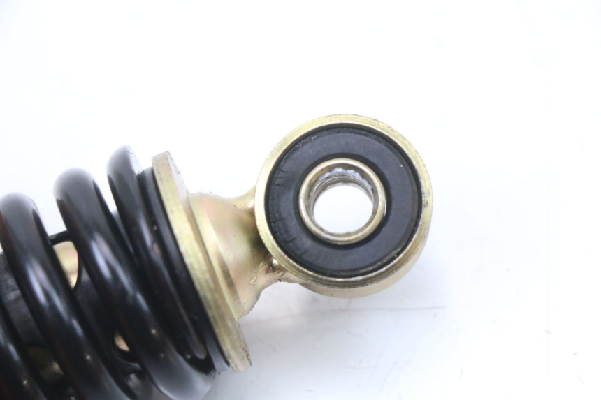 photo de HINTERE FEDERUNG TNT MOTOR ROMA 10' 4T 50 (2019 - 2022)