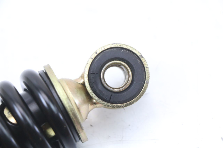 photo de HINTERE FEDERUNG TNT MOTOR ROMA 10' 4T 50 (2019 - 2022)