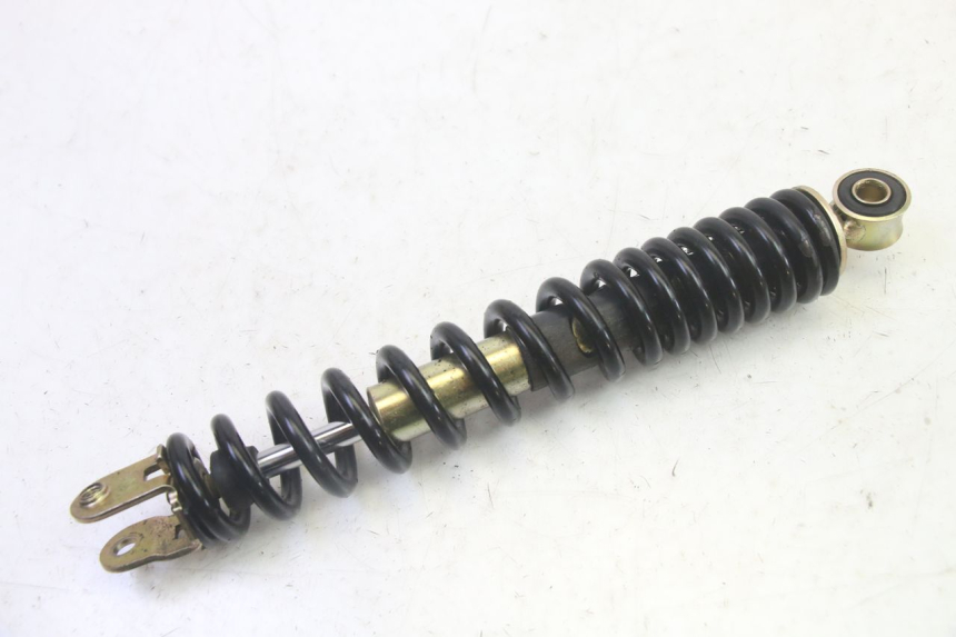 photo de HINTERE FEDERUNG TNT MOTOR ROMA 10' 4T 50 (2019 - 2022) - Hauptansicht