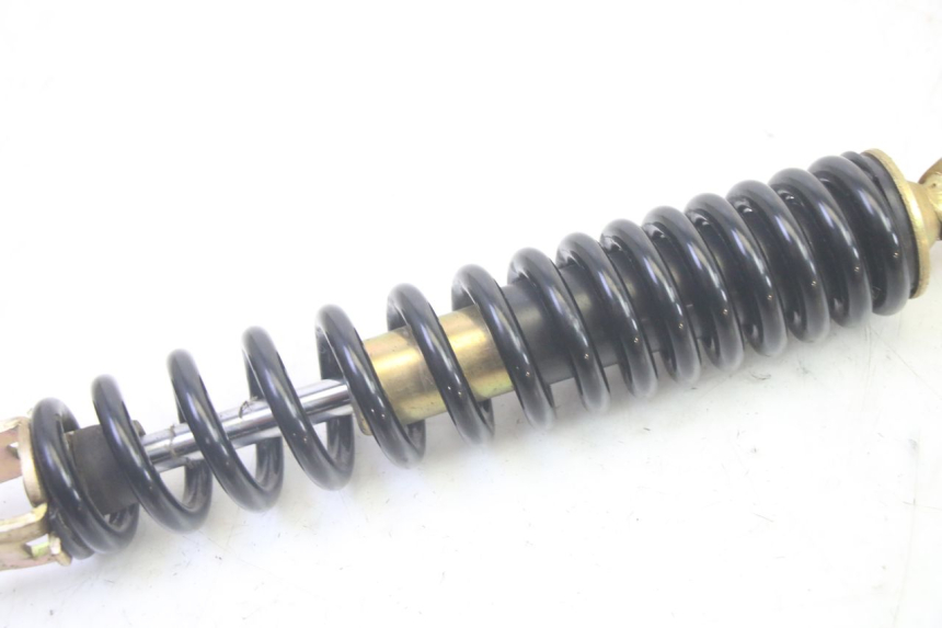 photo de FEDERBEIN JM MOTORS SANTANA EVO 50 (2024 - 2026) - Zoom auf Gebrauchszustand