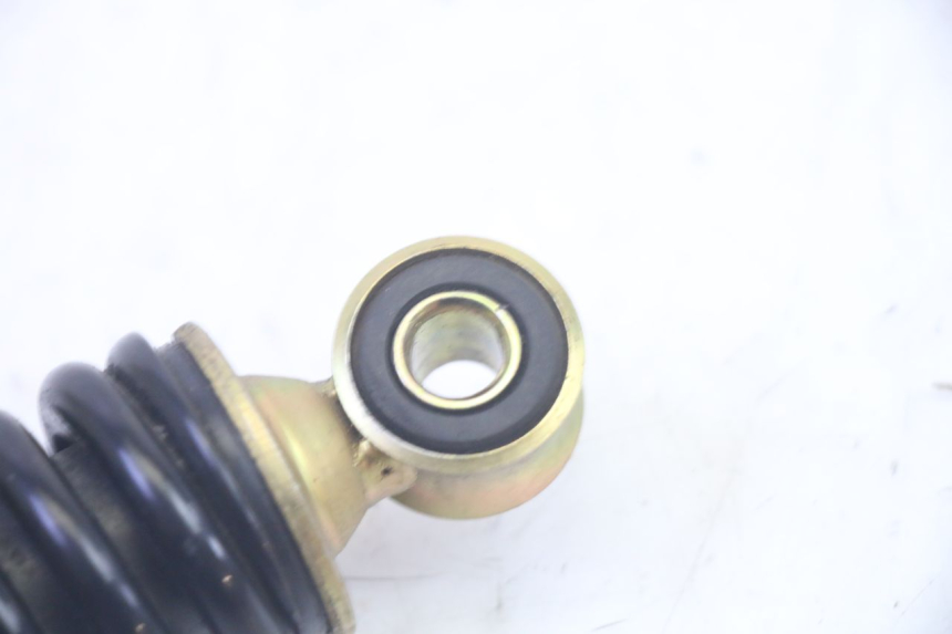 photo de FEDERBEIN JM MOTORS SANTANA EVO 50 (2024 - 2026) - Alternative Perspektive