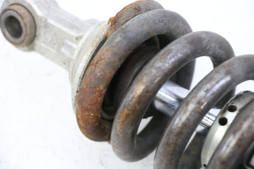 photo de FEDERBEIN KTM SUPERENDURO R 950 (2005 - 2009)