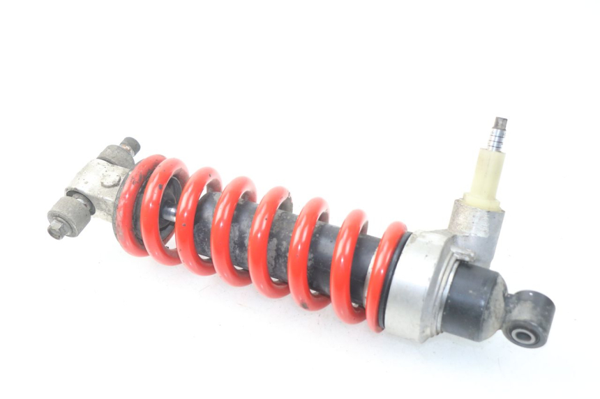 photo de FEDERBEIN TRIUMPH SPRINT ST ABS 1050 (2005 - 2007)