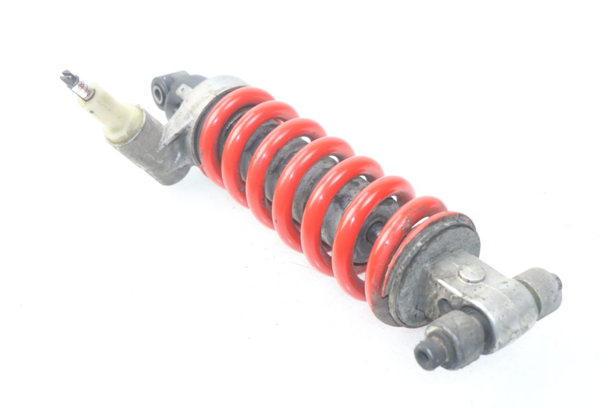 photo de FEDERBEIN TRIUMPH SPRINT ST ABS 1050 (2005 - 2007)
