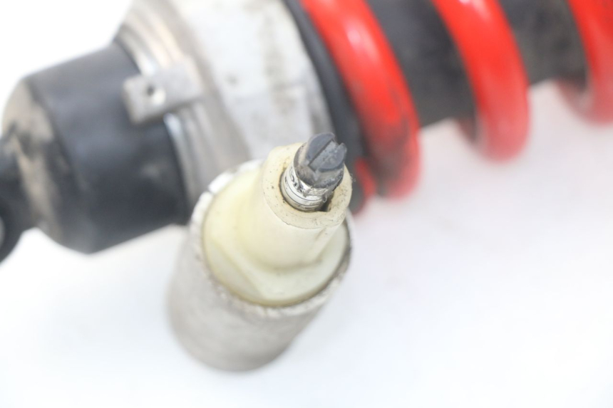 photo de FEDERBEIN TRIUMPH SPRINT ST ABS 1050 (2005 - 2007)
