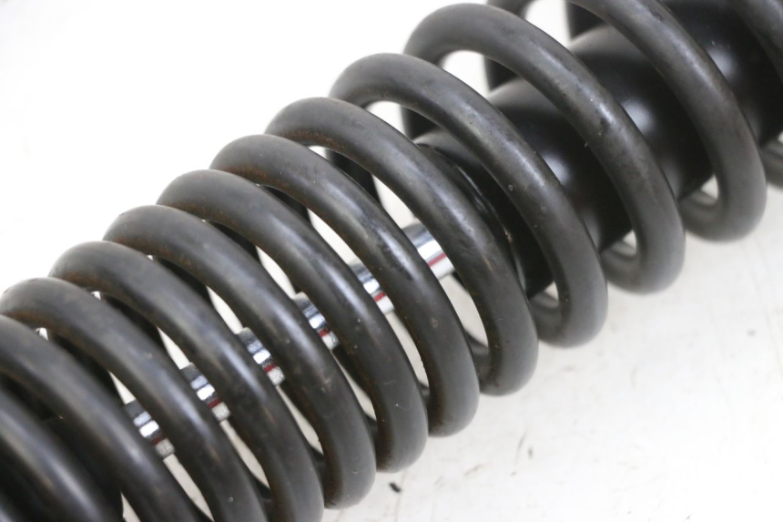 photo de FEDERBEIN PEUGEOT TWEET PRO EFI 4T 50 (2021 - 2022)