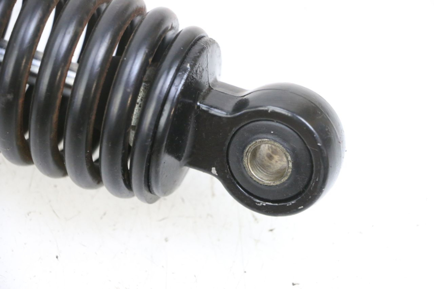 photo de FEDERBEIN PEUGEOT TWEET PRO EFI 4T 50 (2021 - 2022)