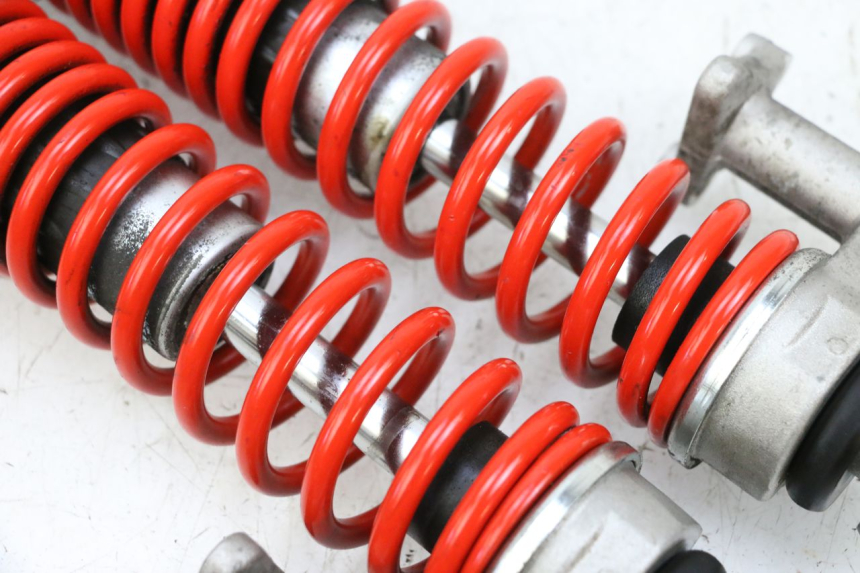 photo de FEDERBEIN VORNE PIAGGIO MP3 HPE 300 (2019 - 2026) - Alternative Perspektive