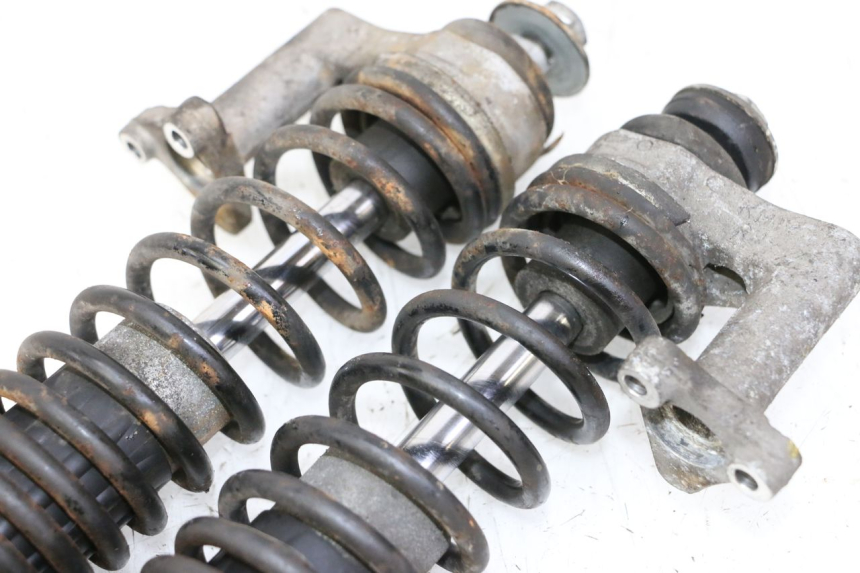 photo de FEDERBEIN VORNE PIAGGIO MP3 LT 300 (2010 - 2016)