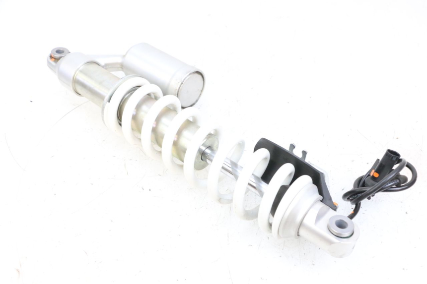 photo de FEDERBEIN VORNE BMW R GS 1250 (2021 - 2024) - Hauptansicht