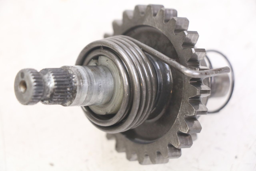 photo de KICKWELLE HONDA CR 80 (2001 - 2003)