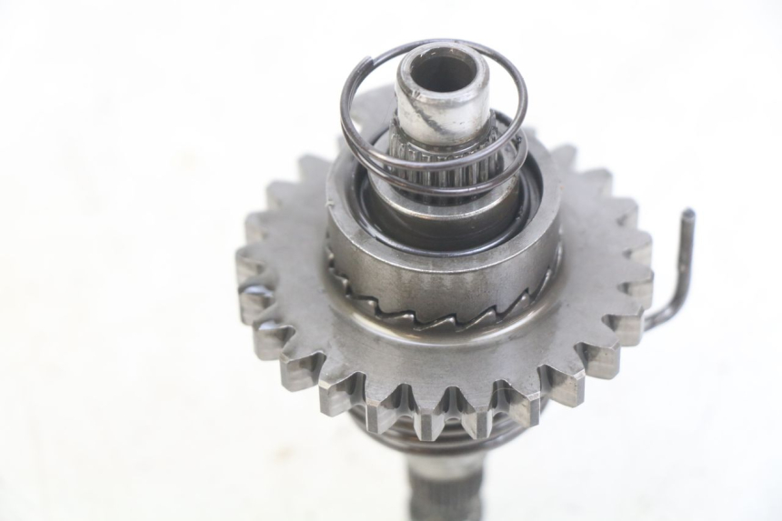 photo de KICKWELLE HONDA CR 80 (2001 - 2003)