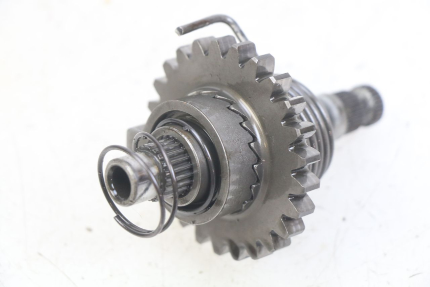 photo de KICKWELLE HONDA CR 80 (2001 - 2003)