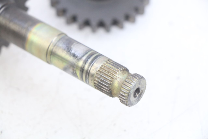 photo de KICKWELLE YCF PILOT 125