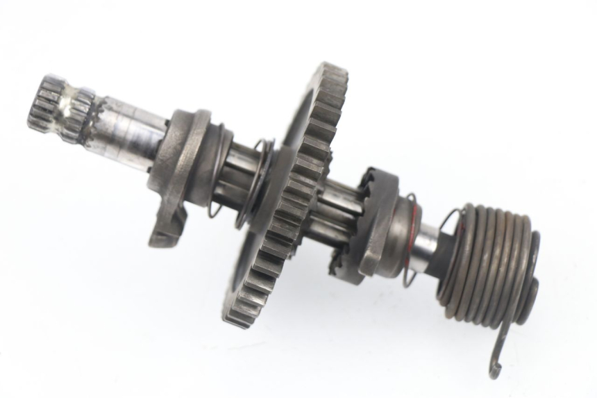 photo de KICKSTARTERWELLE SUZUKI DR DJEBEL 600 (1985 - 1990)