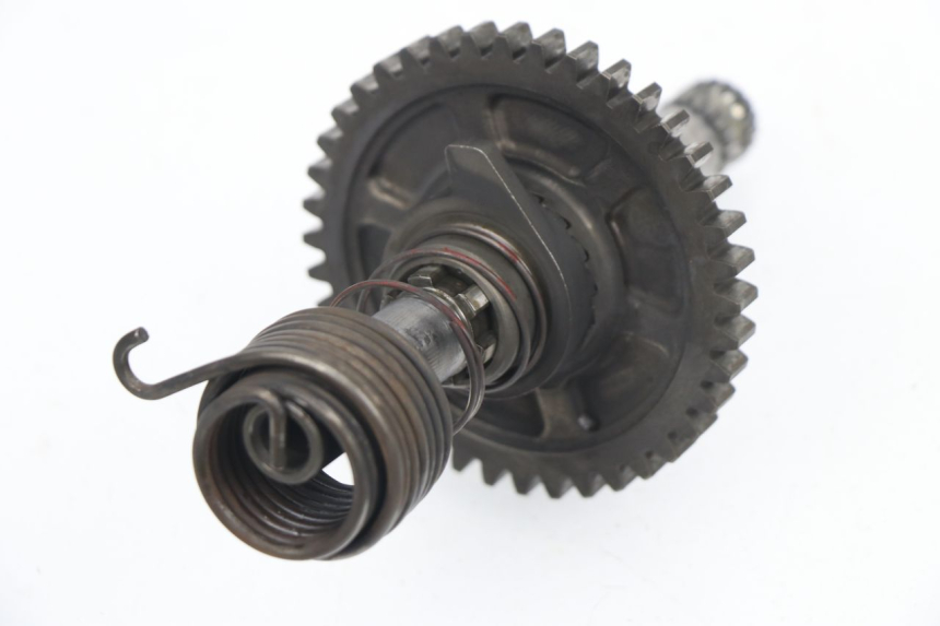 photo de KICKSTARTERWELLE SUZUKI DR DJEBEL 600 (1985 - 1990)