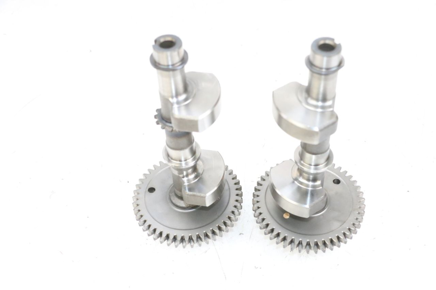 photo de MOTORHALTER SUZUKI BURGMAN 650 (2013 - 2020)