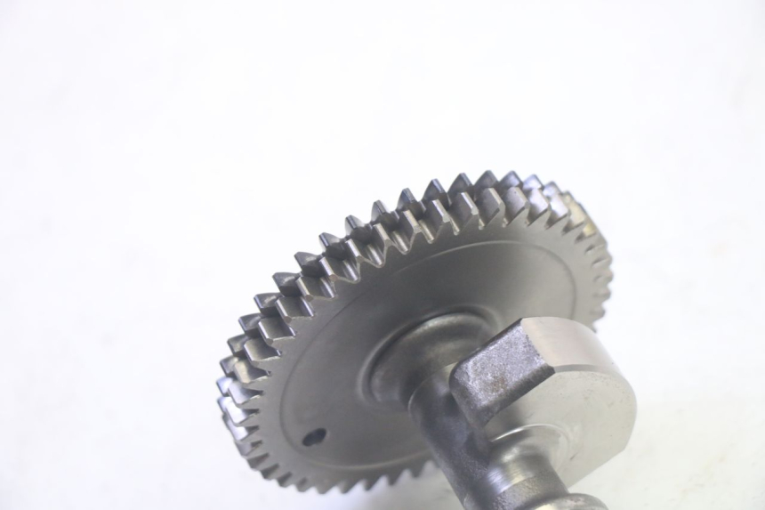 photo de MOTORHALTER SUZUKI BURGMAN EXECUTIVE ABS 650 (2006 - 2012) - Zoom auf Gebrauchszustand