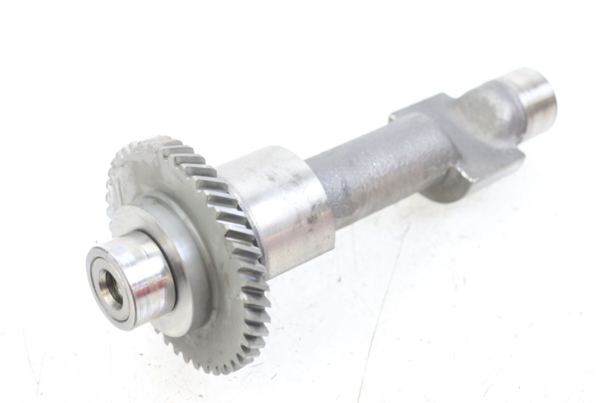 photo de MOTORHALTER SUZUKI GSX E 250 (1982 - 1983)