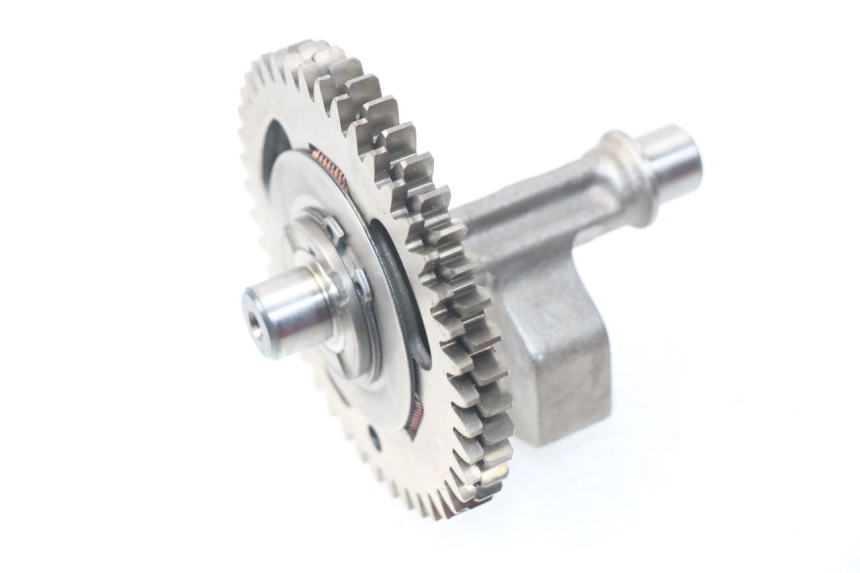 photo de MOTORHALTER HONDA NSS EX FORZA 250 (2008 - 2009)