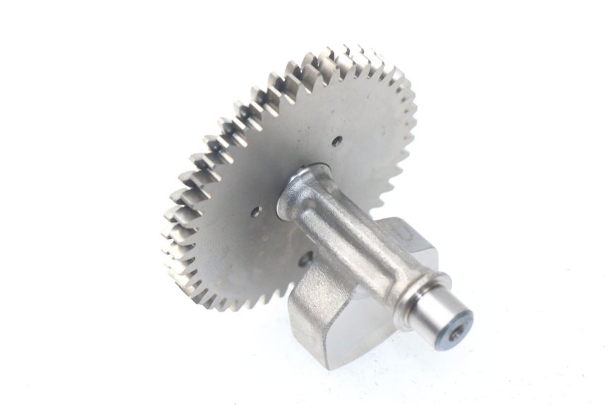 photo de MOTORHALTER HONDA NSS EX FORZA 250 (2008 - 2009)