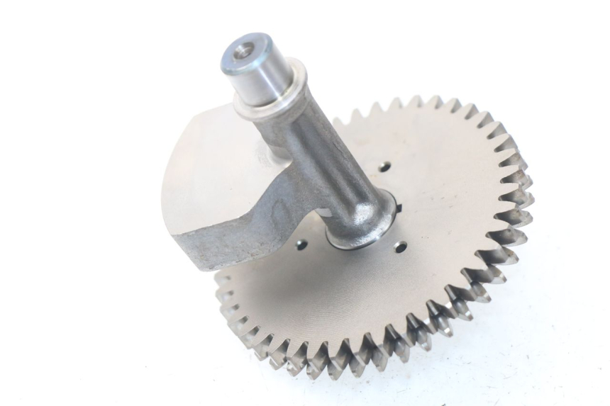 photo de MOTORHALTER HONDA NSS EX FORZA 250 (2008 - 2009)