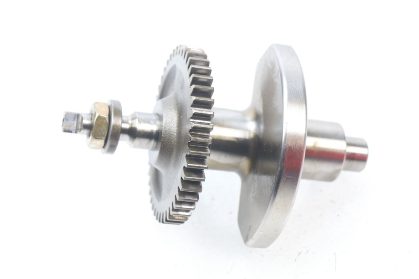 photo de MOTORHALTER PIAGGIO BEVERLY 500 (2003 - 2007)
