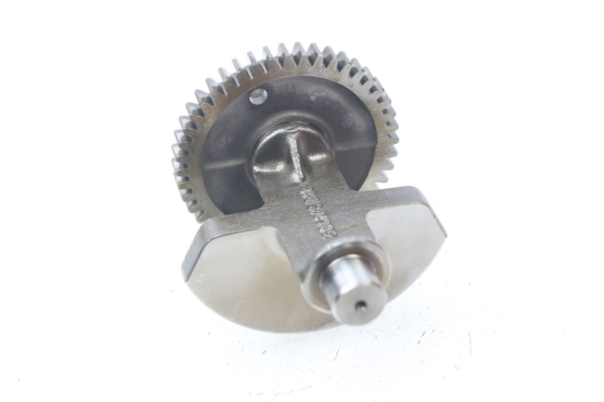 photo de MOTORHALTER PIAGGIO BEVERLY 500 (2003 - 2007)