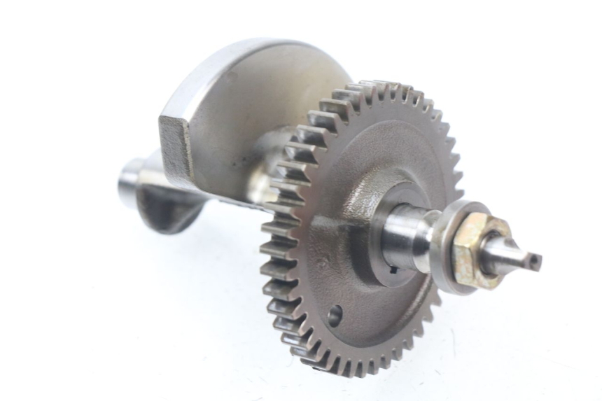 photo de MOTORHALTER PIAGGIO BEVERLY 500 (2003 - 2007)