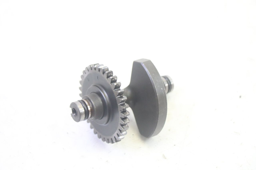 photo de MOTORHALTER YAMAHA TTR 125 (2000 - 2020) - Hauptansicht