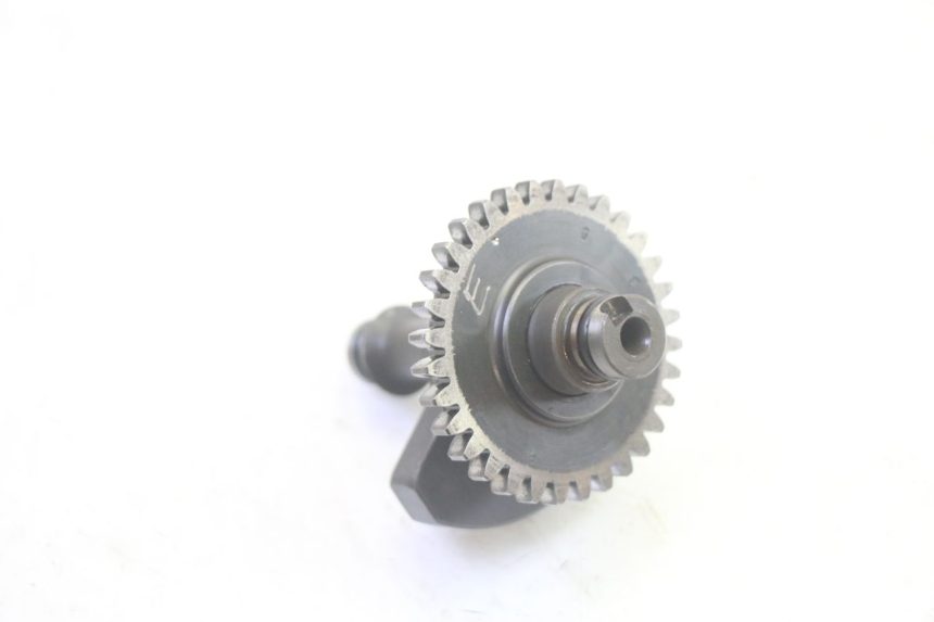 photo de MOTORHALTER YAMAHA TTR 125 (2000 - 2020) - Detailansicht des Bauteils