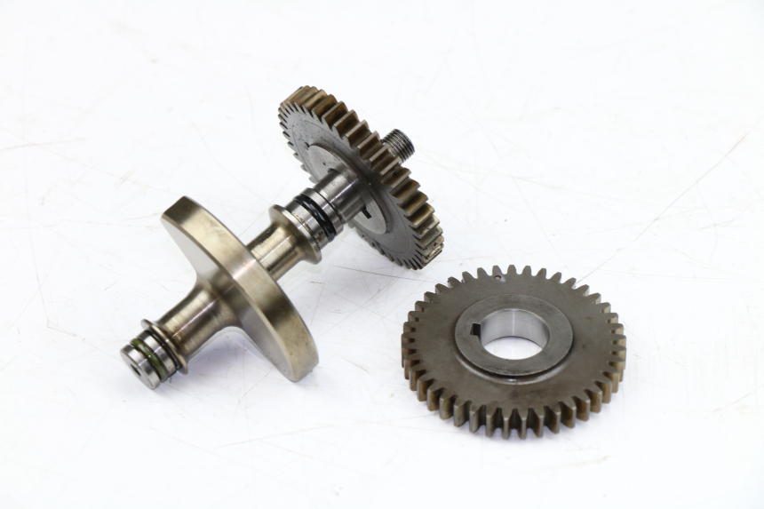 photo de MOTORHALTER YAMAHA WR X 125 (2009 - 2008)