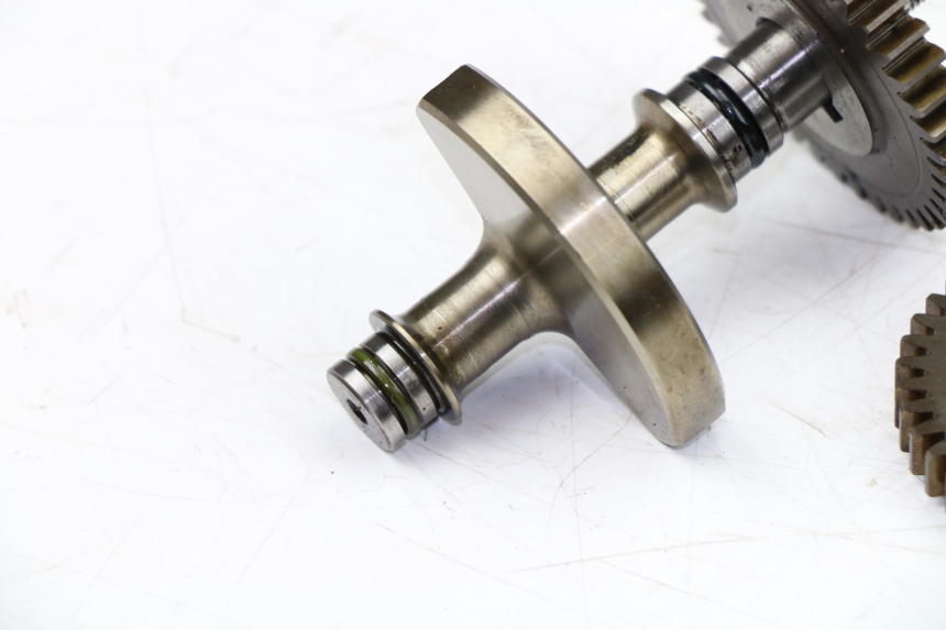 photo de MOTORHALTER YAMAHA WR X 125 (2009 - 2008)