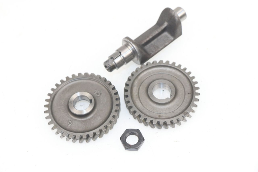 photo de MOTORHALTER YAMAHA TZR 50 (2008 - 2016)