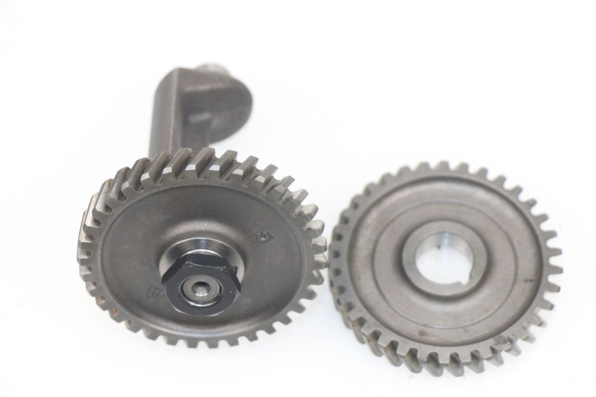 photo de MOTORHALTER YAMAHA TZR 50 (2008 - 2016)