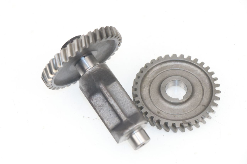 photo de MOTORHALTER YAMAHA TZR 50 (2008 - 2016)