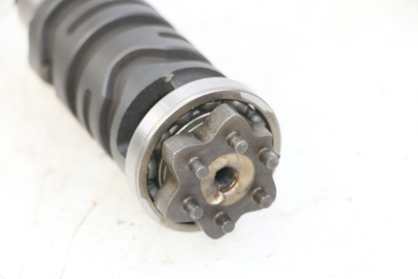 photo de SCHALTWALZE YAMAHA FZS FAZER 600 (2001 - 2003)