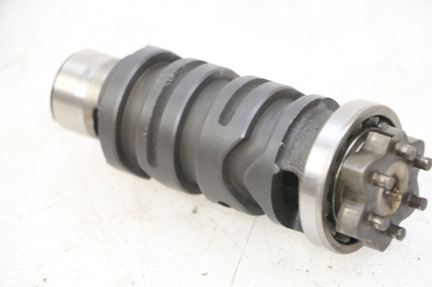 photo de SCHALTWALZE YAMAHA FZS FAZER 600 (2001 - 2003)