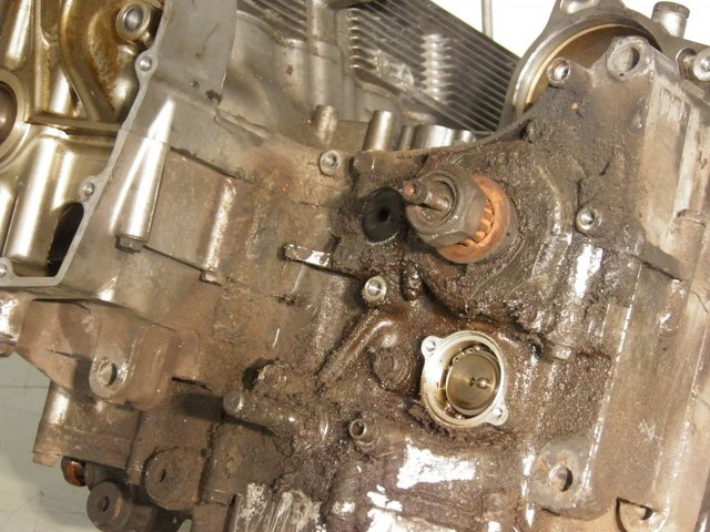 photo de MOTORGEHÄUSE SUZUKI GSF N BANDIT 600 (1996 - 1999)