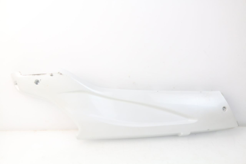 photo de RECHTER SEITENSCHWELLER DAELIM S3 125 (2010 - 2017)