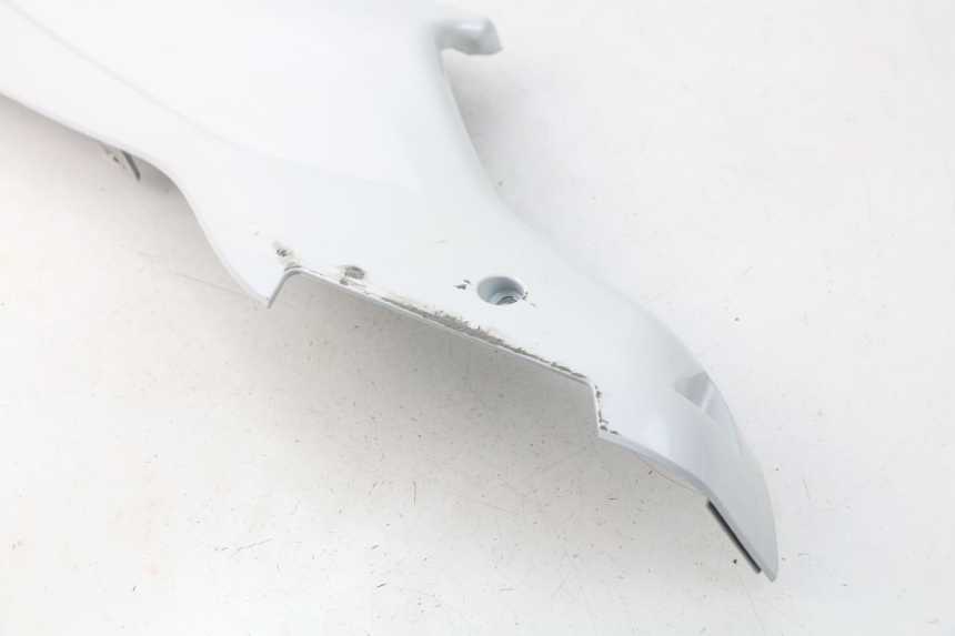 photo de RECHTER SEITENSCHWELLER DAELIM S3 125 (2010 - 2017)